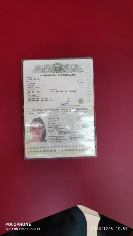Saxta sənədlərlə Azərbaycana keçmək istəyən 5 əcnəbi saxlanılıb