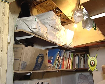 Bakıda 900-dən çox kitab oğurlayan şəxs tutulub