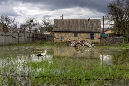 Media: Demidov village flood saves Kyiv from occupation