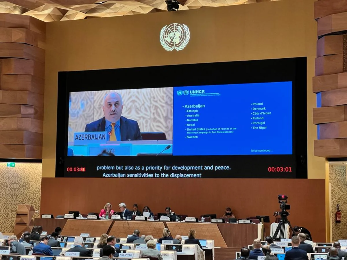 State Committee: Armenia is slowing down IDPs' return