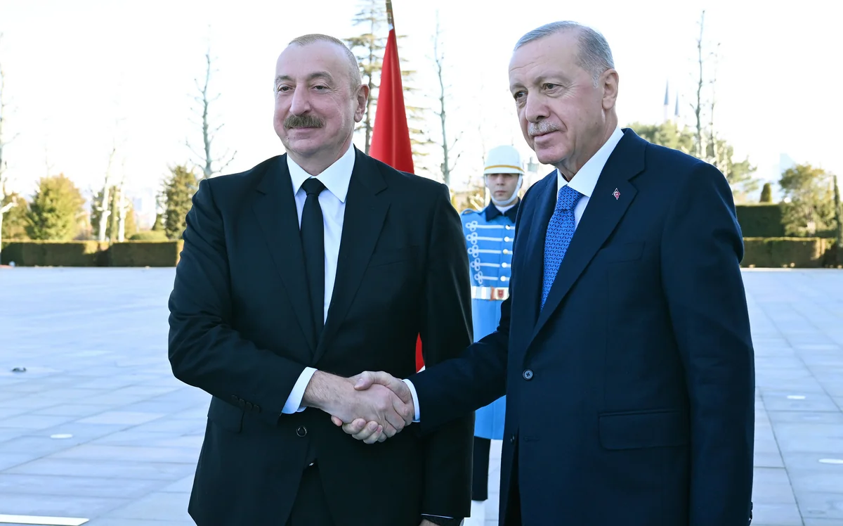 Ərdoğan: Naxçıvanla enerji sahəsində bağlarımızın güclənməsi ilə əlaqələrimiz daha da intensivləşəcək