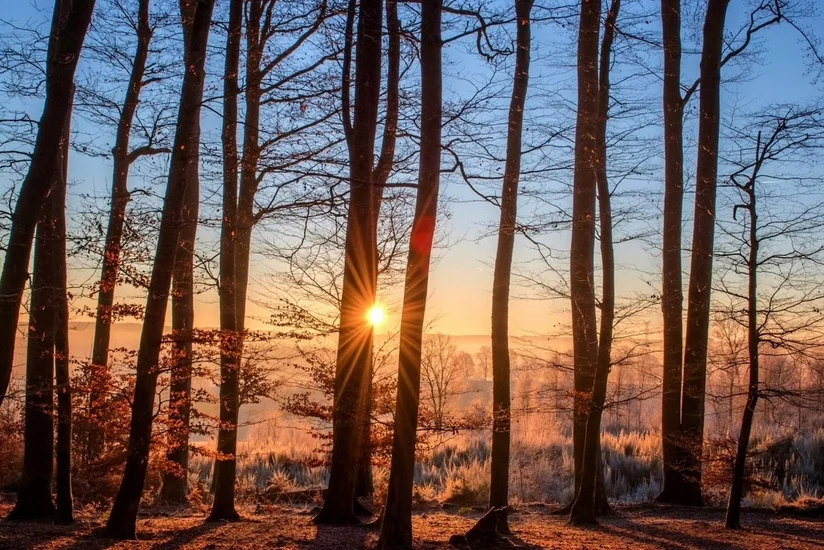 Sabah Bakıda hava yağmursuz olacaq