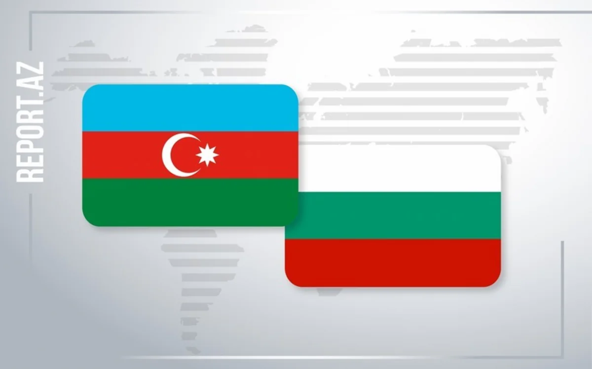 Azerbaijani and Bulgarian diplomats in Damascus mull situation in Syria