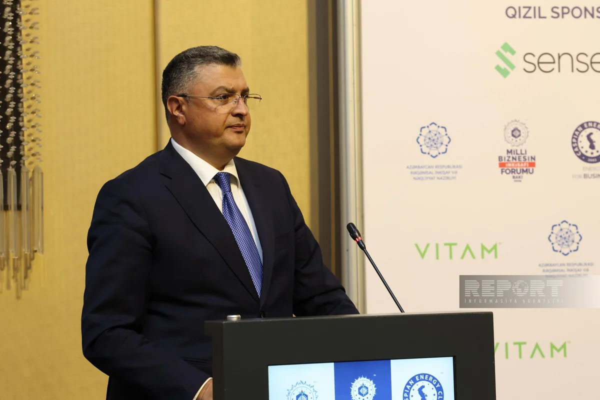 Azərbaycanda elektrik enerjisi ilə bağlı xidmətlərin 83 %-i elektronlaşdırılıb