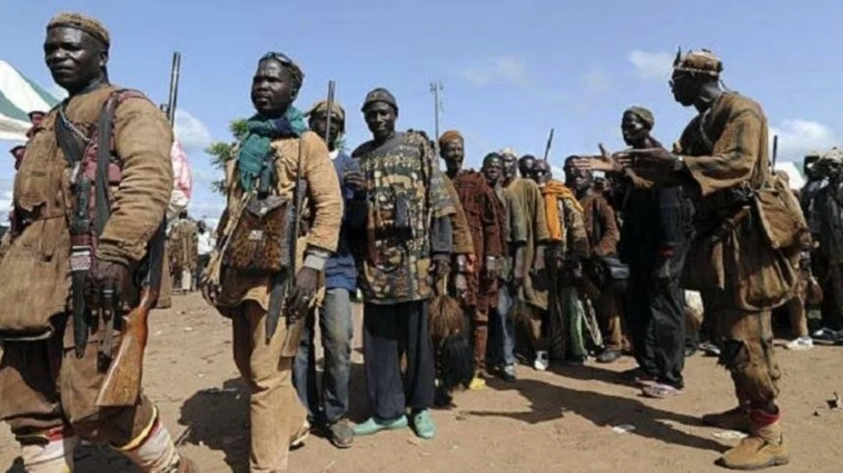 Malidə silahlı hücum nəticəsində ölənlərin sayı 134-ə çatıb - YENİLƏNİB