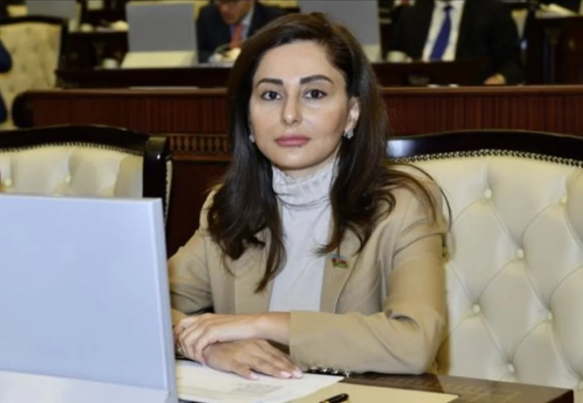Deputat: İnsan hüquqlarına hörmət hər zaman Azərbaycan üçün prioritet məsələ olub