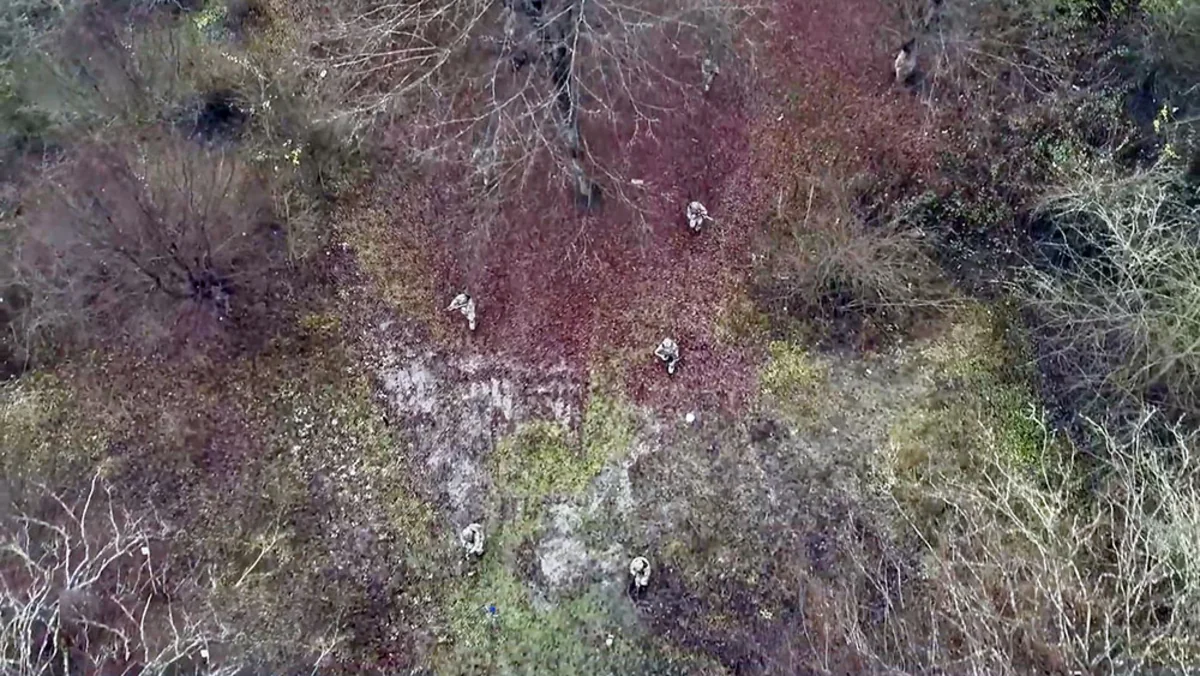 Минобороны Азербайджана представило еженедельный обзор