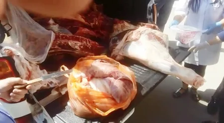 Xaçmazda mənşəyi bəlli olmayan heyvan əti aşkar edilib