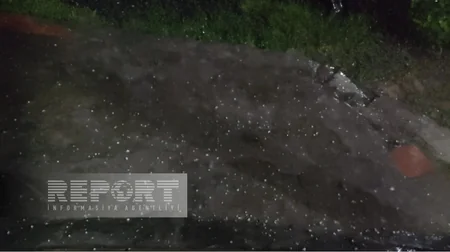 Qaxda dolu təsərrüfata ciddi ziyan vurub