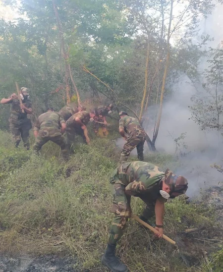 FHN ölkənin bəzi ərazilərində baş verən yanğınların səbəbini açıqladı
