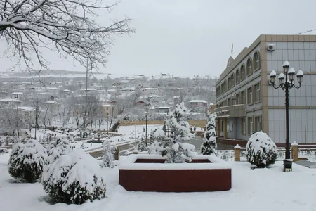 Lerik və Yardımlıya ilaxır çərşənbədə qar yağıb - FOTO