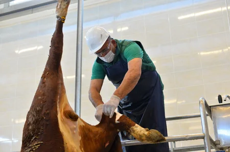 İran halal ət kəsimini Azərbaycan şirkətinə etibar edib - VİDEO