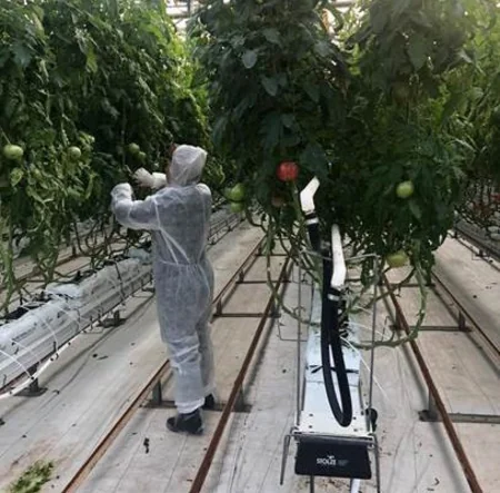 Bakıda yerləşən 45-dən çox istixanada monitorinq aparılıb
