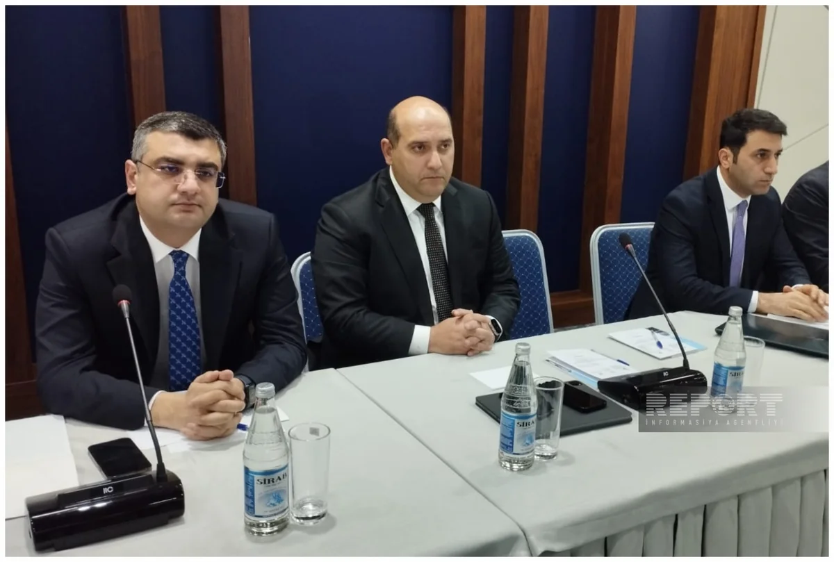 Названа площадь разминированных освобожденных территорий Азербайджана