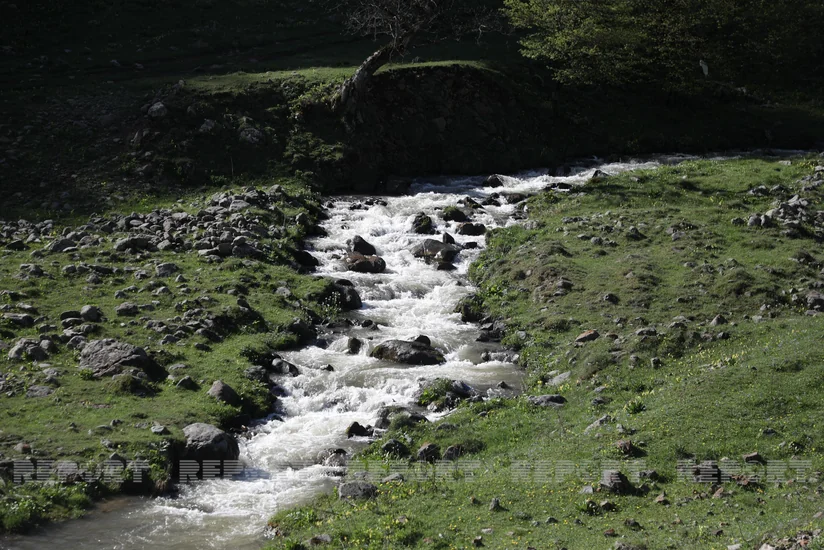 Firdovsi Fikratzada: Increase in livestock expected in liberated territories