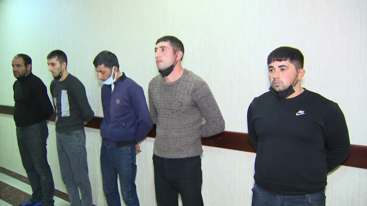 Göygöldə it döyüşləri təşkil edən şəxslər saxlanılıb