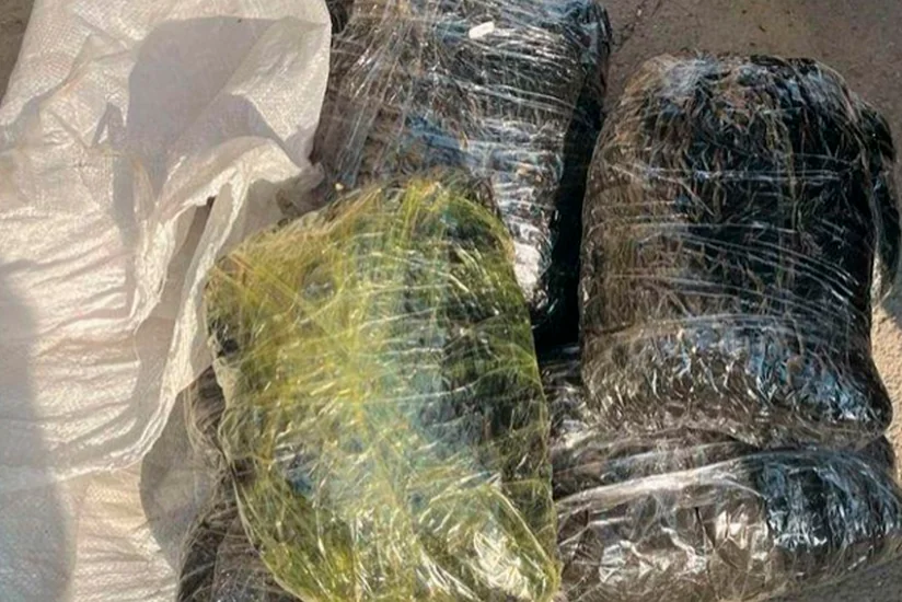 Bakıda yaşayış binasının zirzəmisində 8 kq-dan artıq narkotik vasitə aşkarlanıb