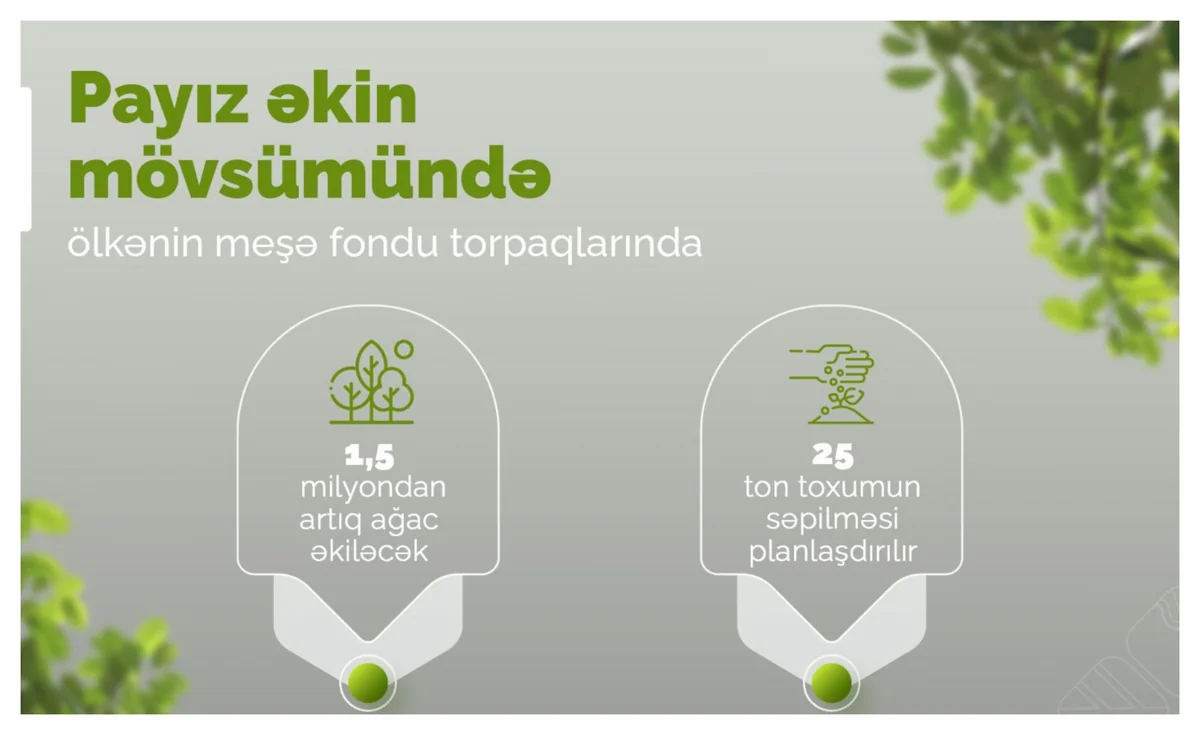 Meşə fondu torpaqlarında 1,5 milyondan çox yeni ağac əkiləcək