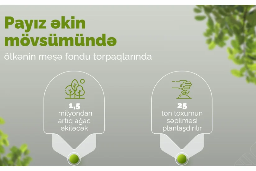 Meşə fondu torpaqlarında 1,5 milyondan çox yeni ağac əkiləcək