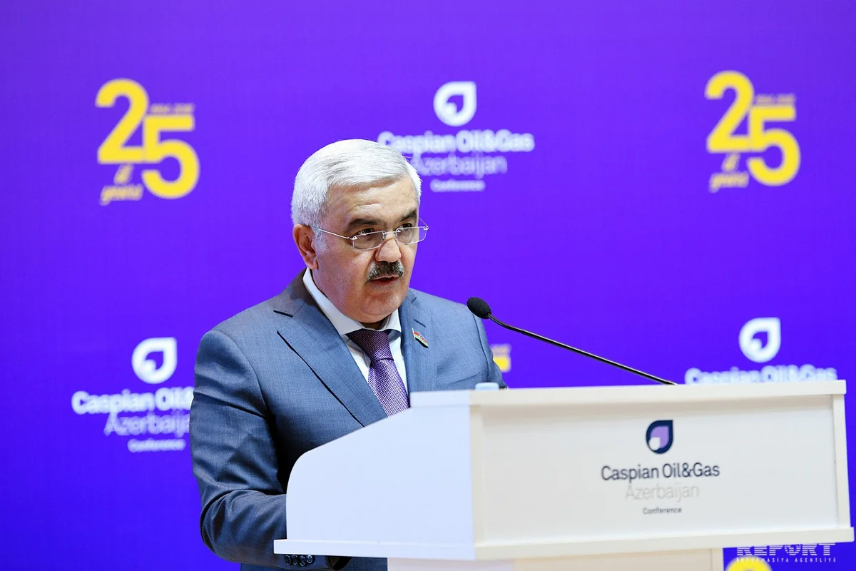 Ровнаг Абдуллаев: Азербайджанский газ займет достойное место на европейском рынке
