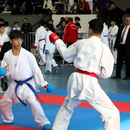 Karate üzrə Qara dəniz və Xəzər dənizi açıq turniri keçirilib