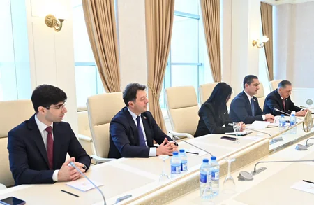 Milli Məclisdə Fransa Senatının üzvü Natali Qule ilə görüş keçirilib