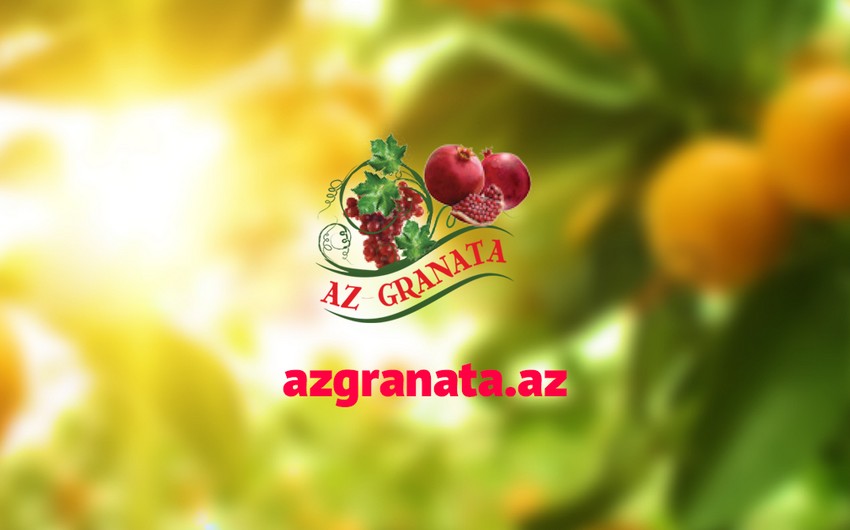 Azgranatanın rəhbərliyinə təyinat olub