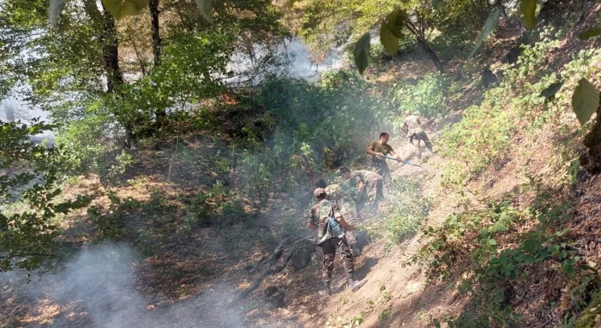 Zaqatala və İsmayıllıda yanğının qarşısı alınıb