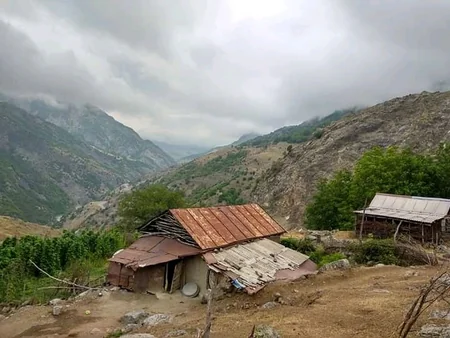 İsmayıllı sakini avtomobilində odlu silahla qətlə yetirilib