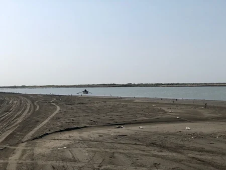 Alimlər: Neftçalada dənizkənarı ərazilər səhralaşa bilər