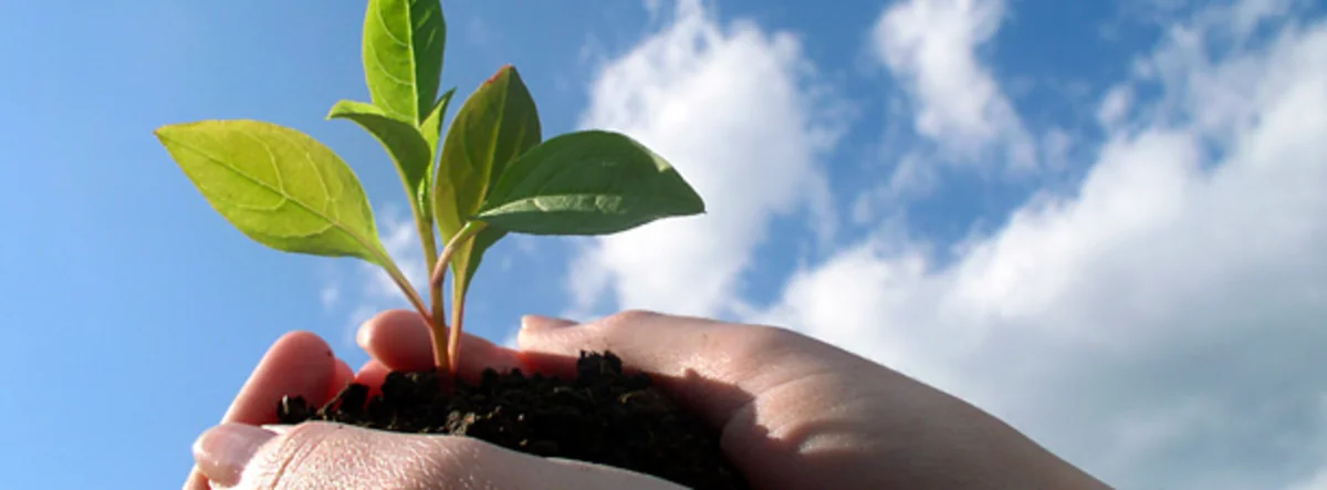 Azərbaycanda ekoloji vəziyyətə dair son məlumatlar açıqlanıb