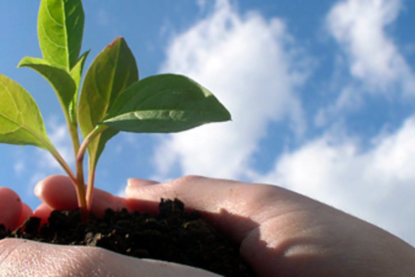 Azərbaycanda ekoloji vəziyyətə dair son məlumatlar açıqlanıb