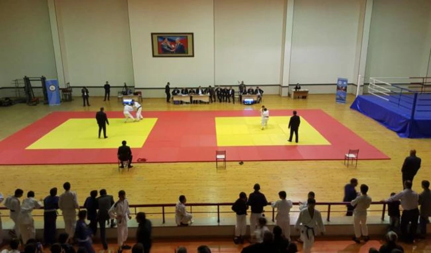 Naxçıvanda yeniyetmə cüdoçular arasında birincilik keçirilib
