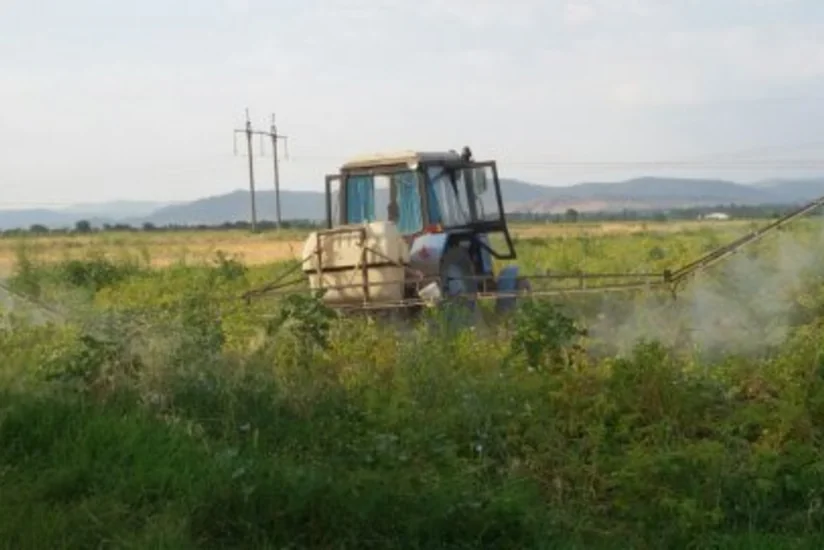 Tovuzda kartof güvəsinə qarşı kimyəvi mübarizə tədbirləri aparılır