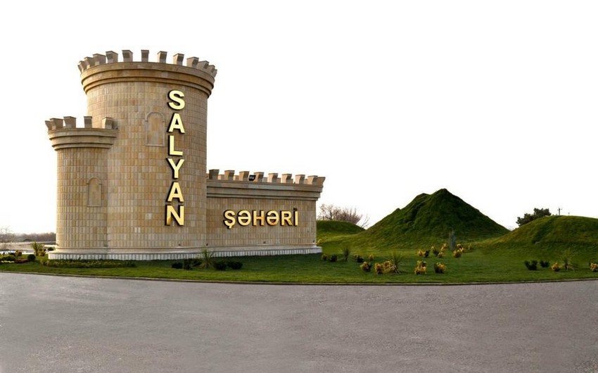 Salyan İcra Hakimiyyətinin vəzifəli əməkdaşı işdən azad olunub
