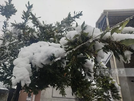 İlisuya 35 santimetr qar yağıb - FOTOREPORTAJ