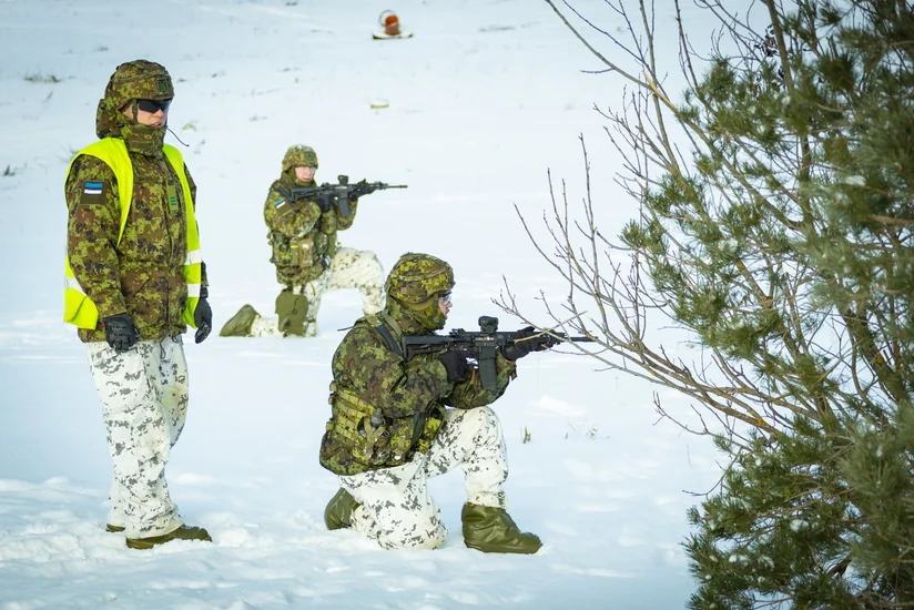 Власти Эстонии одобрили выделение более €30 млн на укрепление границы с РФ