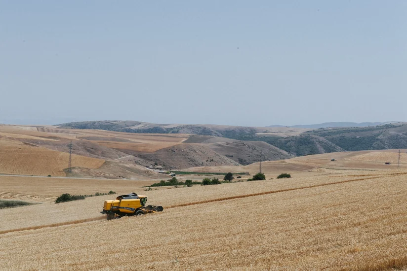 Kənd Təsərrüfatı Nazirliyi: Azərbaycanda payızlıq əkin sahələrinin 40 %-də biçin başa çatıb