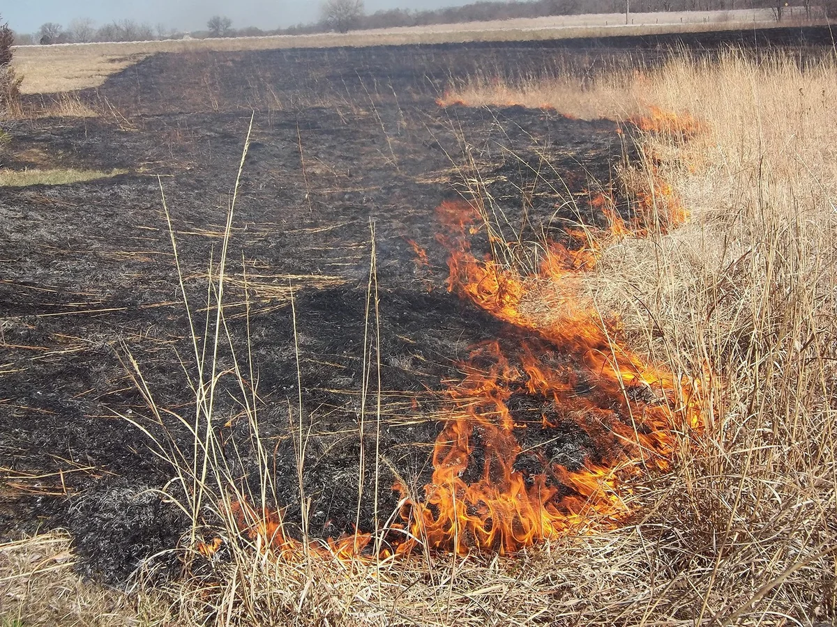 Şəmkirdə dağlıq ərazidə baş vermiş yanğın söndürülüb - YENİLƏNİB-2