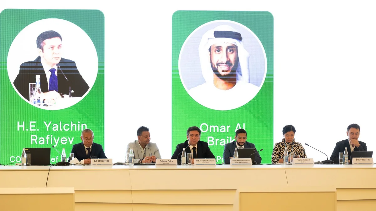 Bakıda COP29-a hazırlıq çərçivəsində 11-ci Texniki Ekspert Dialoqu keçirilir