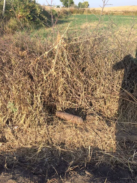 Qazaxda top mərmisi aşkar olunub