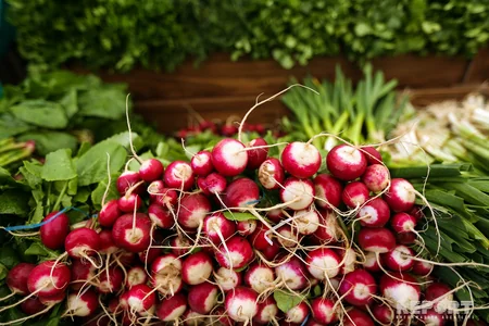 Eldar Əzizov Novruz yarmarkasında olub - FOTO