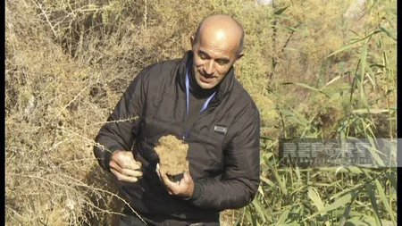 Hacıqabulda insan sümükləri tapılıb