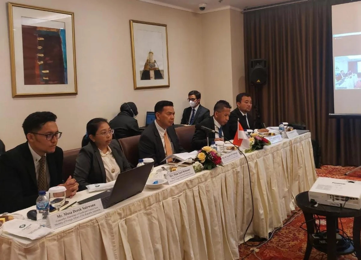 Political consultations held between Azerbaijani, Indonesian MFAs