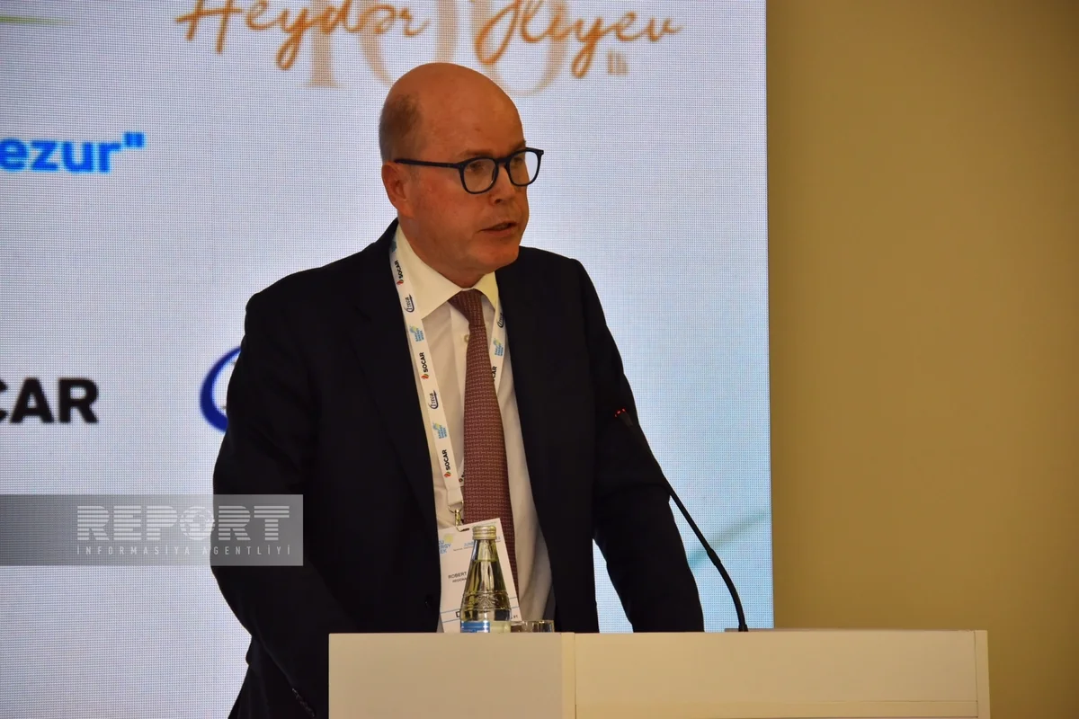 Qəri Counz: “Naxçıvan və Şərqi Zəngəzur böyük enerji potensialı ilə seçilir”