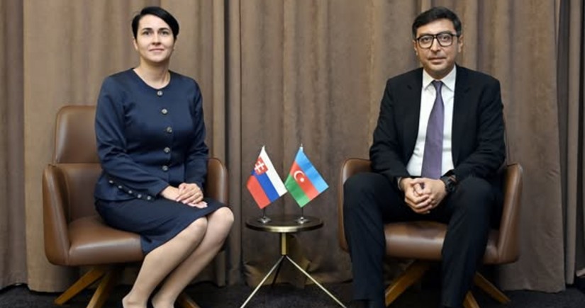 Farid Gayibov meets with state secretary of Slovakia's ministry of sports