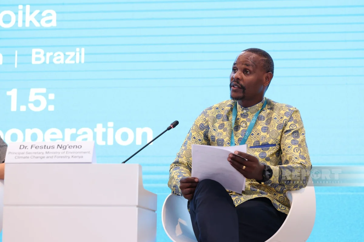 Keniya nümayəndəsi: Dünya birliyi iqlim dəyişikliyinin fəsadlarının öhdəsindən gəlməlidir