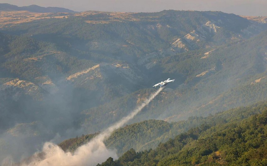Antalyada baş verən meşə yanğını nəzarət altına alınıb - YENİLƏNİB