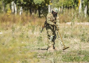 На кыргызско-таджикской границе начались работы по разминированию
