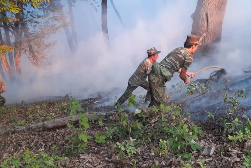 МЧС: Продолжаются меры по тушению пожара в лесной полосе в Ярдымлы